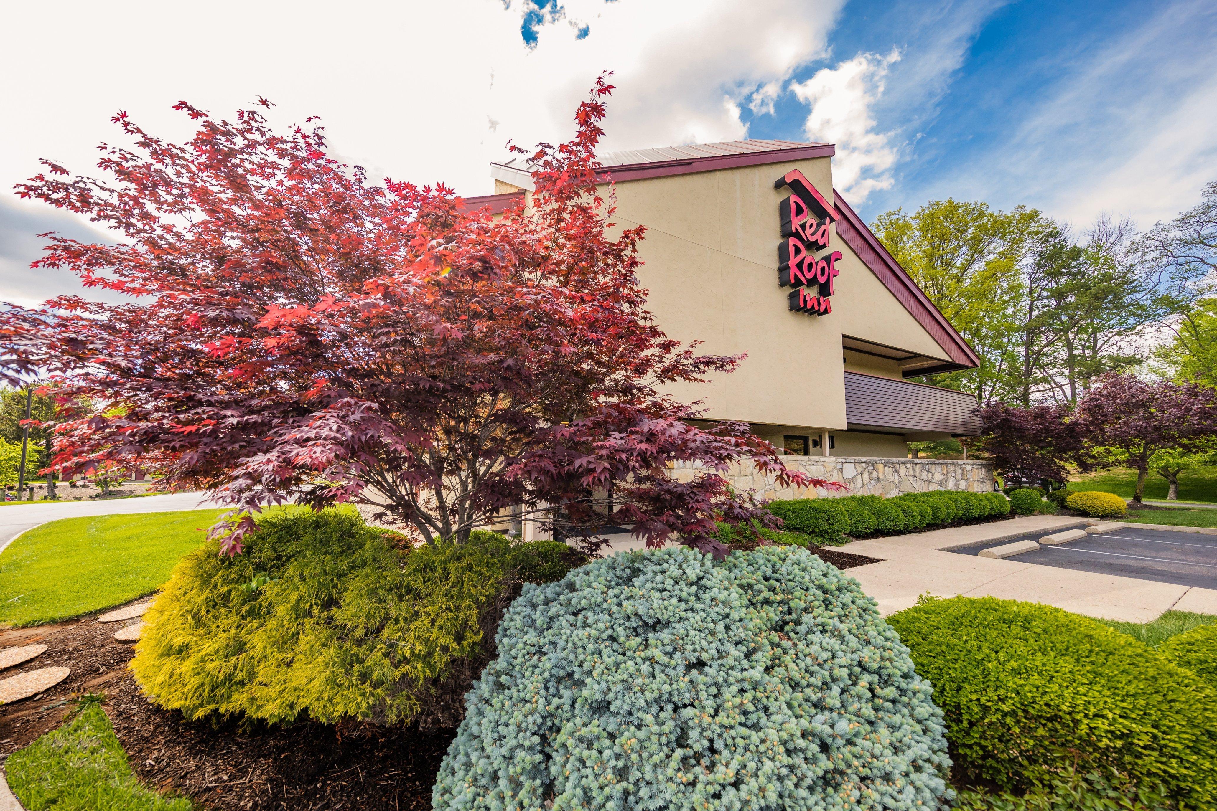 Red Roof Inn Cincinnati Northeast - Blue Ash Exteriér fotografie