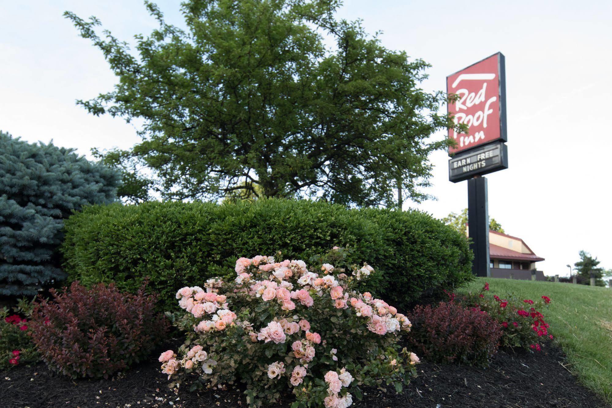 Red Roof Inn Cincinnati Northeast - Blue Ash Exteriér fotografie